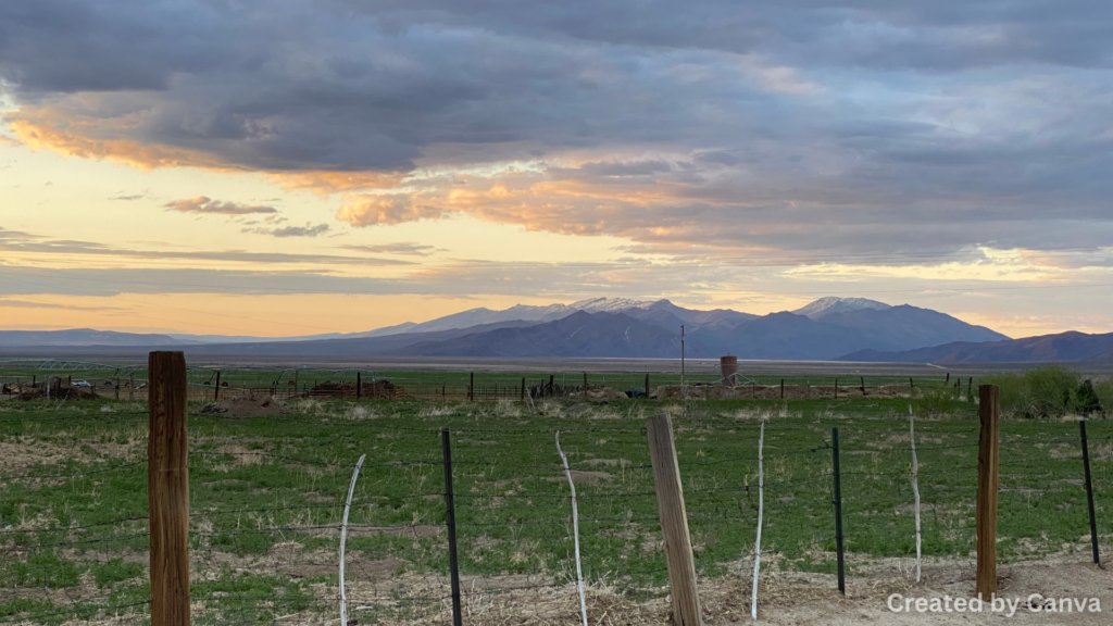 Why you might need full coverage in Nevada