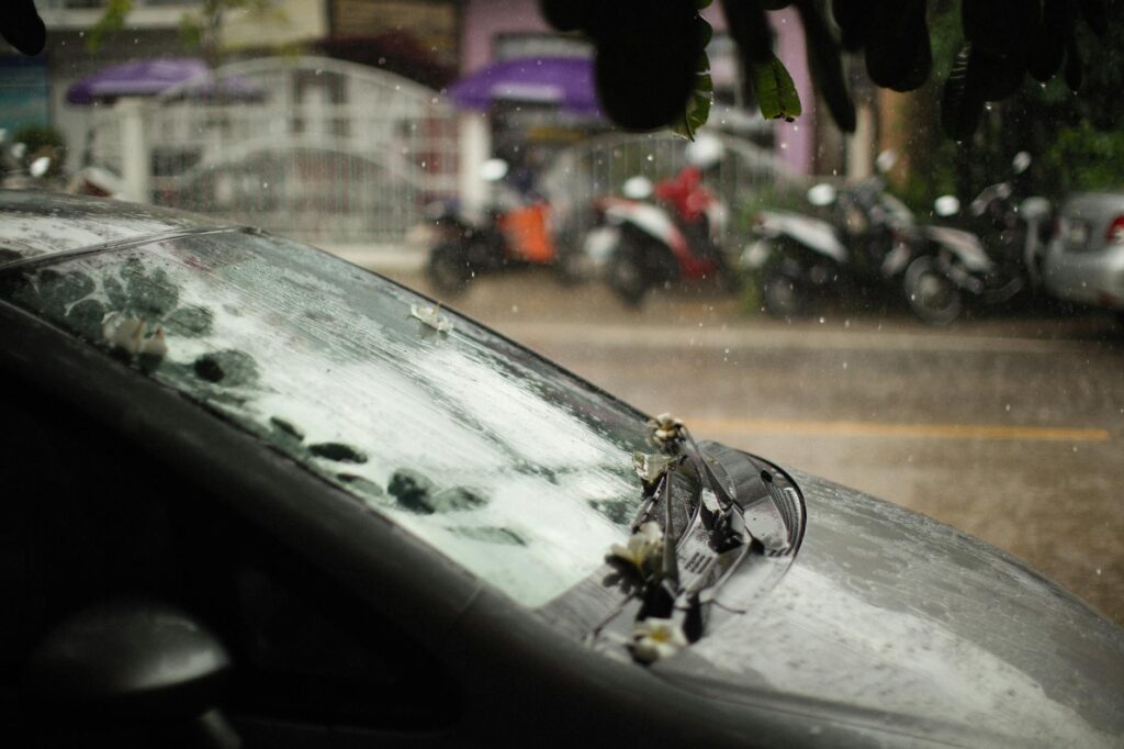 A rainy street scene with parked cars, representing weather's effect on theft. — weather car theft rates Nevada
