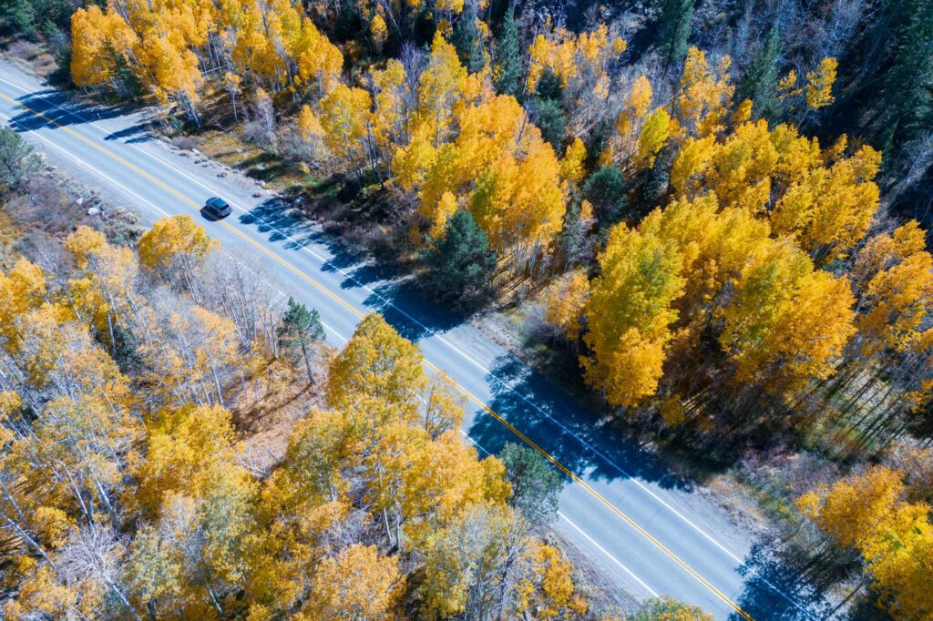 seasonal insurance savings Nevada