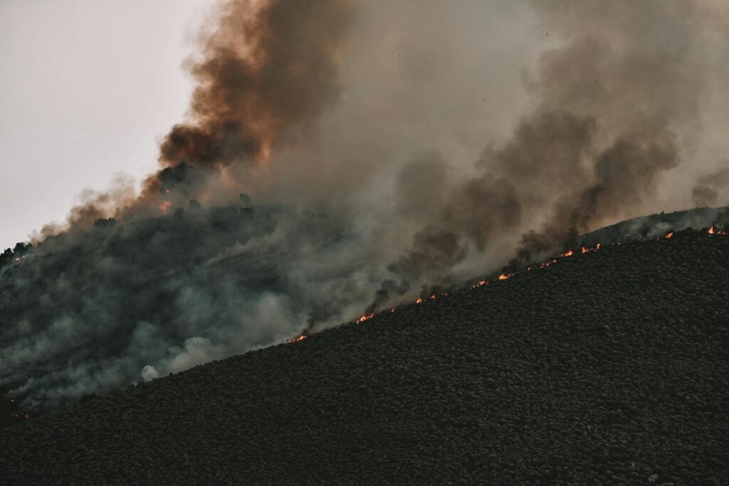 A map of Nevada highlighting areas prone to wildfires and their impact on insurance premiums. — Nevada weather car insur…