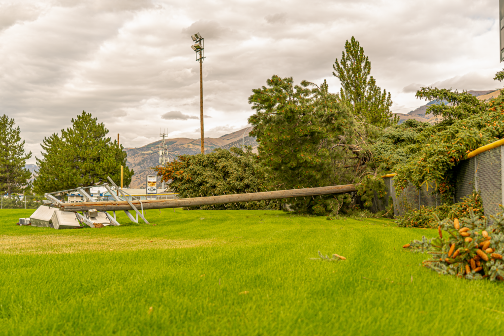 An infographic depicting common types of storm damage claims in Nevada. — Nevada weather car insurance claims