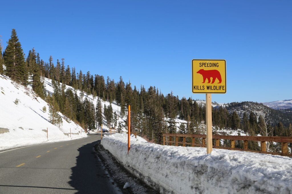 A graphic depicting common driving hazards in Nevada, such as wildlife and snow. — Nevada driving conditions insurance r…