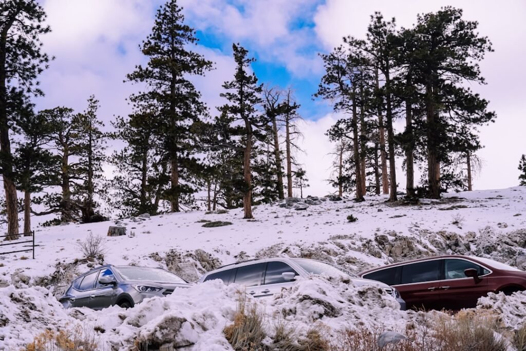 A photo showing a car damaged by hail in Nevada, highlighting weather-related claims. — Nevada weather car insurance impact