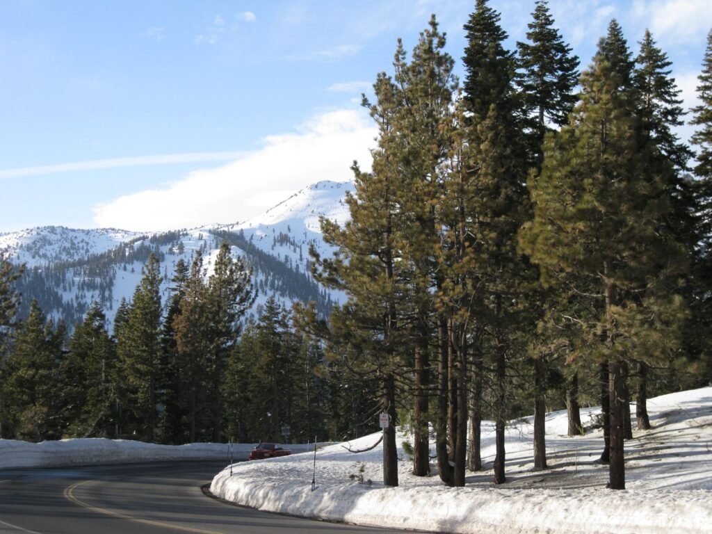 A scenic winter road in Nevada, showcasing snow-covered mountains and the need for winter car insurance adjustments. — s…
