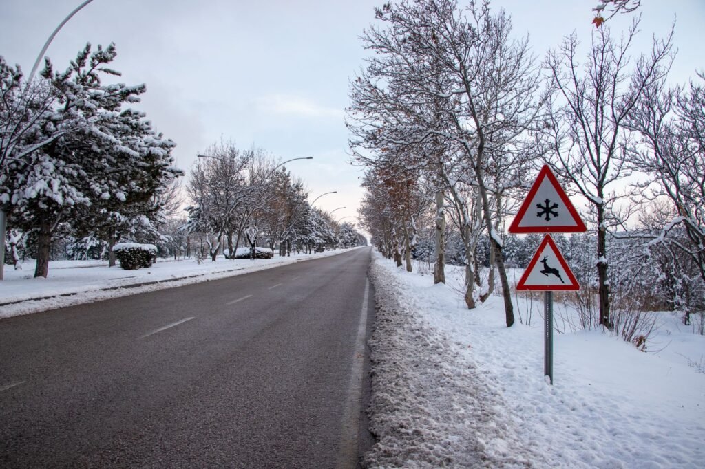 A visual of common risks faced by drivers in Nevada, such as wildlife and weather conditions. — comprehensive collision …