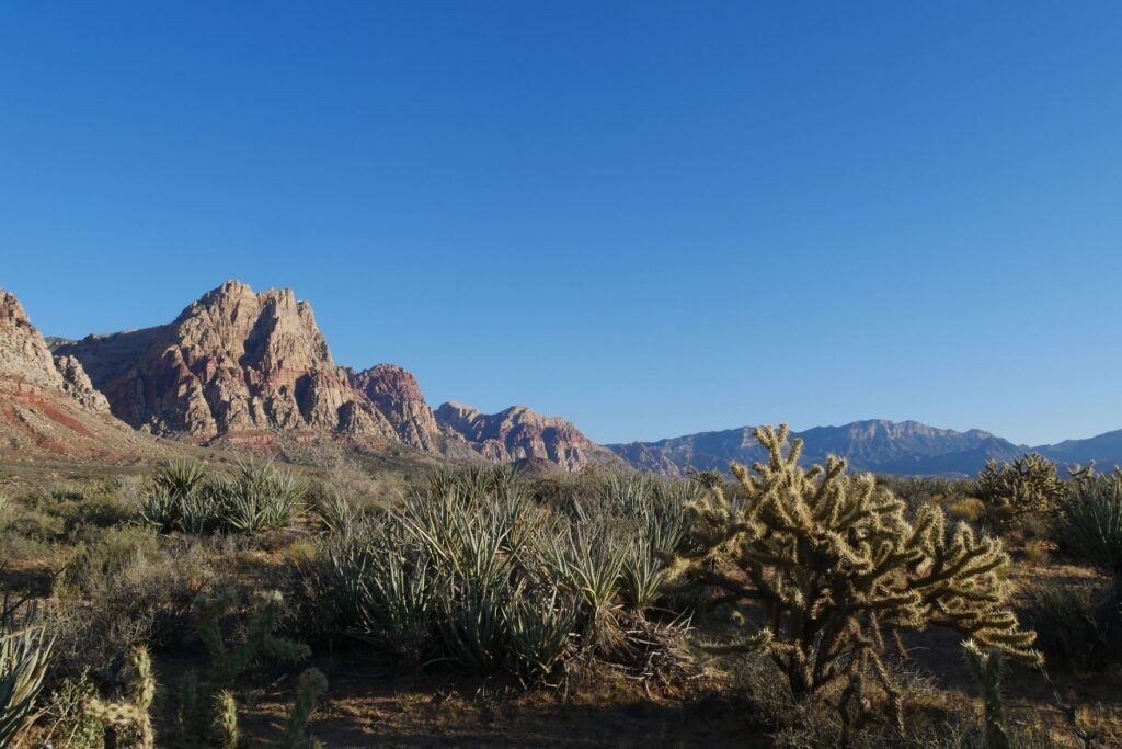 Image of a desert landscape depicting typical Nevada climate. — Nevada climate car insurance rates